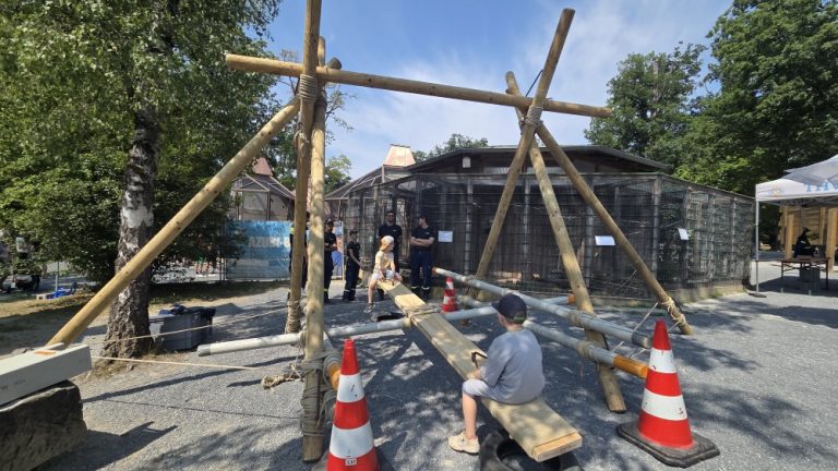 Große Wippe aus Rundhölzern und Bohlen